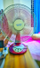 Fan for sale